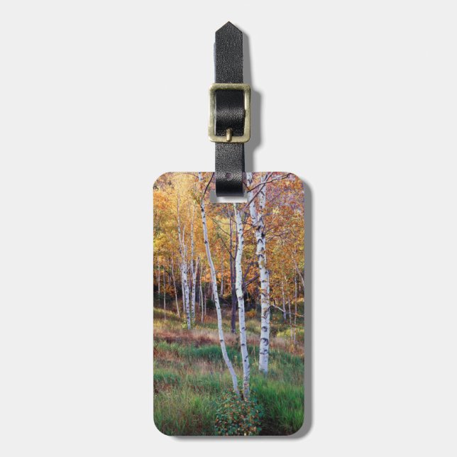 Maine, Acadia National Park, Autumn Luggage Tag (Front Vertical)