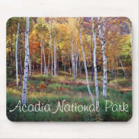 Maine, Acadia National Park, Autumn