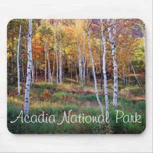 Maine, Acadia National Park, Autumn Mouse Pad