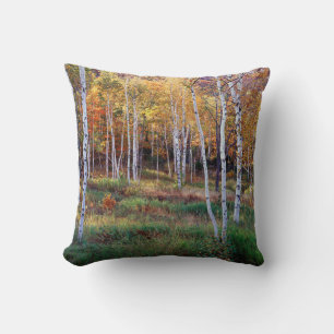 Maine, Acadia National Park, Autumn Throw Pillow