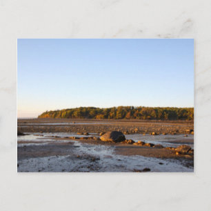 Maine Bar Island Photo Postcard