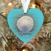 Maine Beach Ocean Sand Dollar