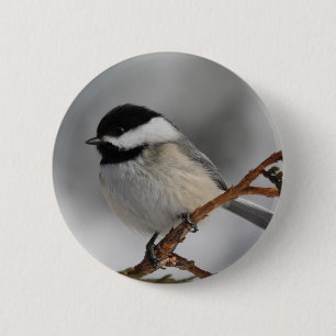Maine Chickadee 2 Inch Round Button