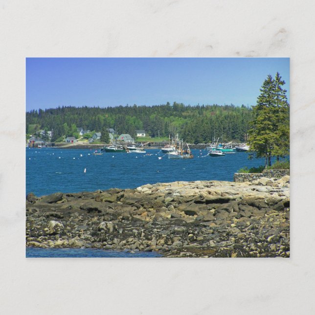 Maine Coast Postcard (Front)
