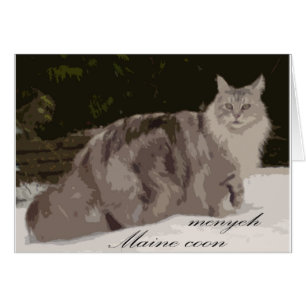 maine coon