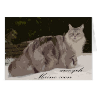 maine coon