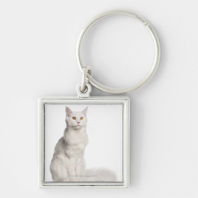 Maine Coon (8 months old) sitting Keychain (Front)