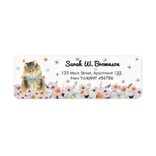 Maine Coon American Cat bleu bowling fleur assise