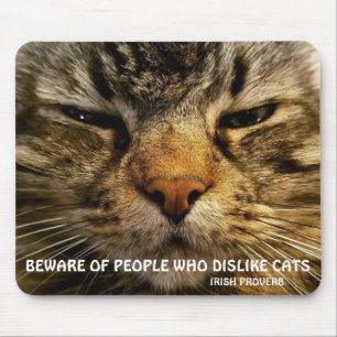 Maine Coon and Irish proverb Meme Mouse Pad