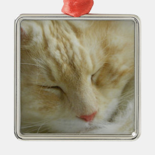 Maine Coon Bentley sleeping Metal Ornament