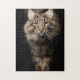 Maine Coon big cat  Jigsaw Puzzle