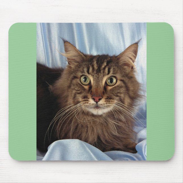 Maine Coon, brown tabby Mouse Pad (Front)
