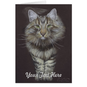 Maine Coon Cat