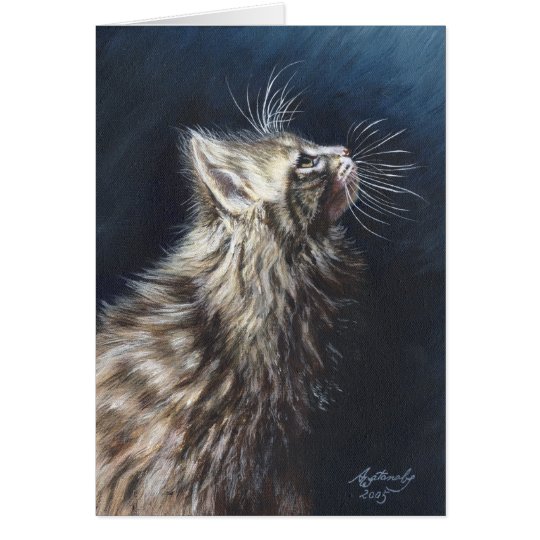 Maine Coon Cat "Angel Light" Greeting Note Card