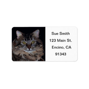 Maine Coon Cat Avery Labels