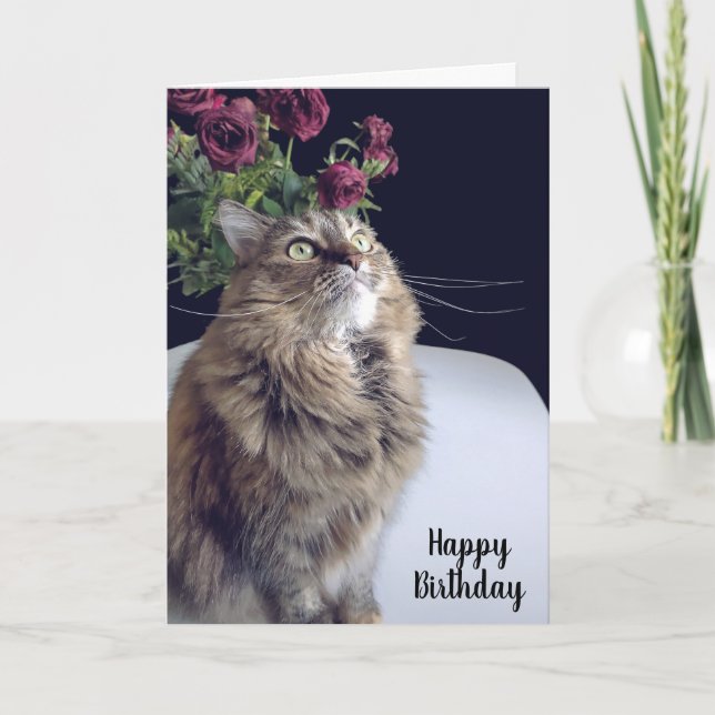 Maine Coon Cat Birthday Card (Front)