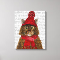 Maine Coon Cat