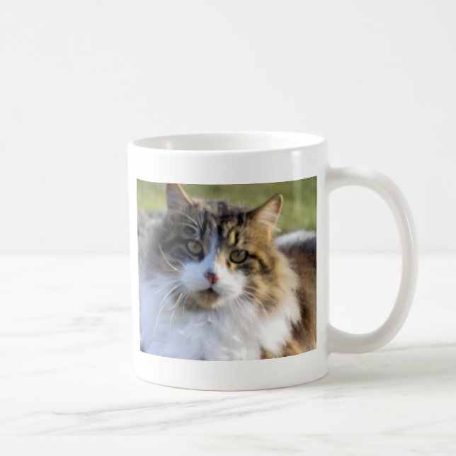 Maine Coon Cat Coffee Mug (Right)