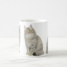 Maine Coon Cat
