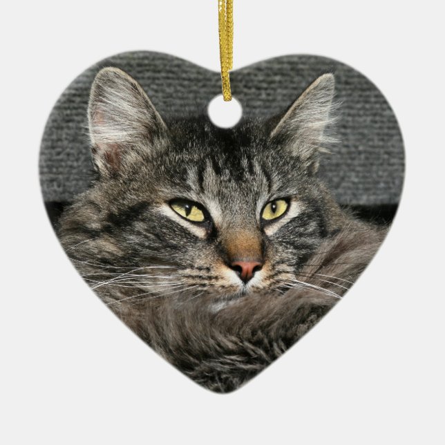 Maine Coon cat face Ceramic Ornament (Front)