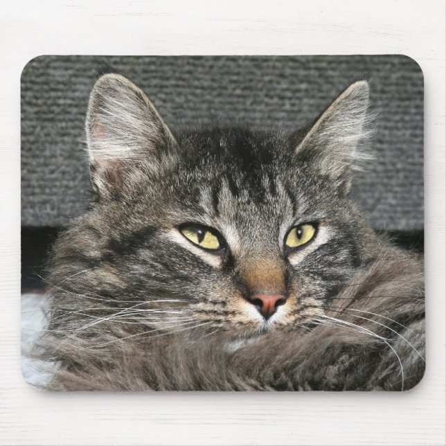 Maine Coon cat face Mouse Pad (Front)