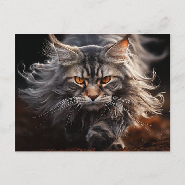 Maine Coon Cat hunting Postcard (Front)