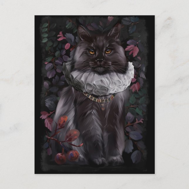 Maine Coon cat in an ancient aristocratic costume	 Postcard (Front)