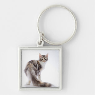 Maine Coon cat Keychain