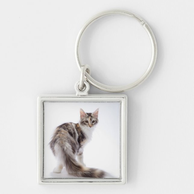Maine Coon cat Keychain (Front)