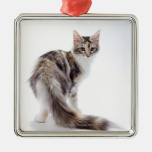 Maine Coon cat Metal Ornament