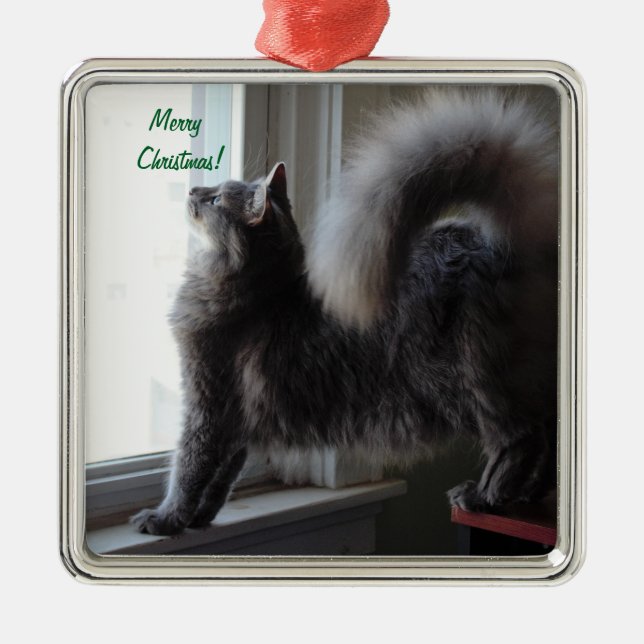 Maine Coon Cat Photo Metal Ornament (Front)
