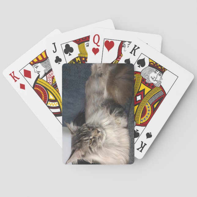 Maine Coon Cat Playing Cards (Back)