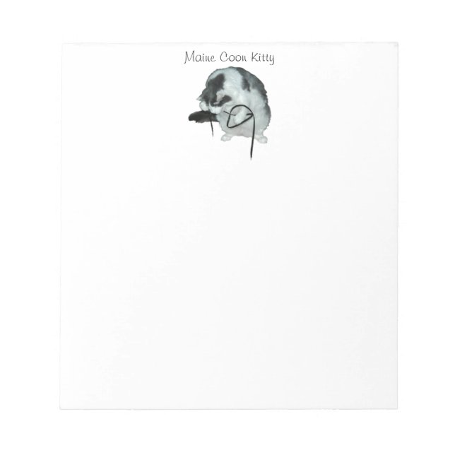 Maine coon cat playing Notepad (Front)