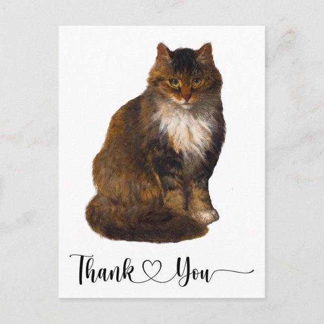 Maine Coon Cat Portrait Art Thank You Script Heart Postcard (Front)