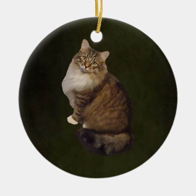 Maine Coon Cat Portrait Ceramic Ornament (Front)