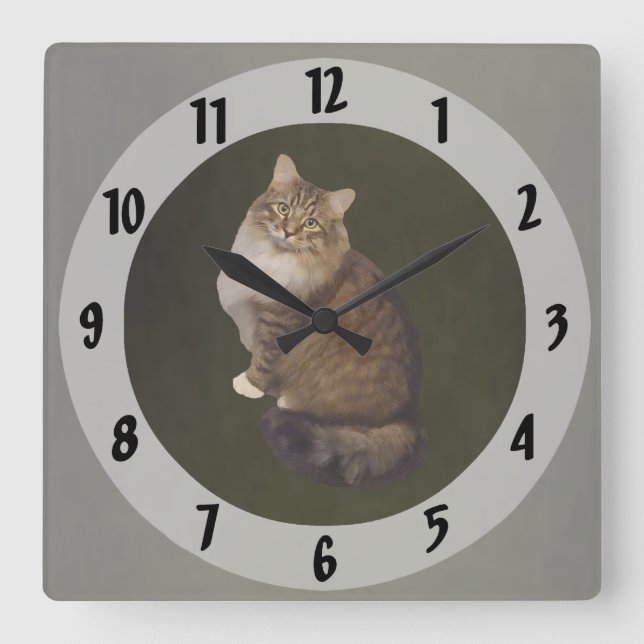 Maine Coon Cat Portrait Square Wall Clock (Front)
