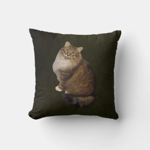 Maine Coon Cat Portrait Throw Pillow