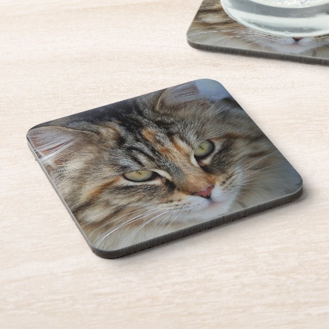 Maine Coon cat Potrait Coaster (Left Side)