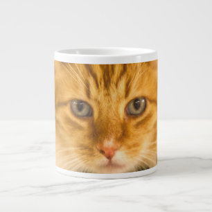 MAINE COON CAT STARE DOWN LARGE COFFEE MUG