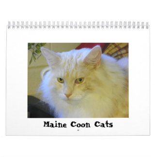 Maine Coon Cats Calendar