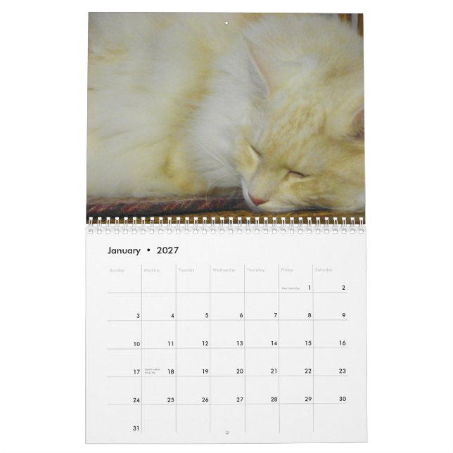 Maine Coon Cats Calendar (Jan 2027)