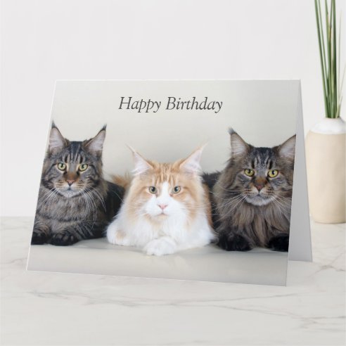 Maine Coon Cat Birthday Cards | Zazzle CA