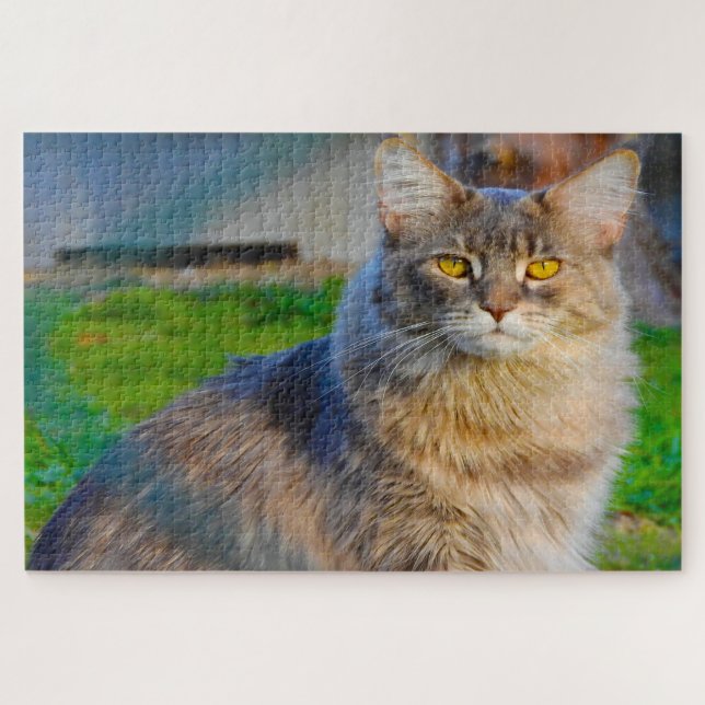 Maine Coon Cats. Jigsaw Puzzle (Horizontal)