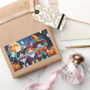 Maine Coon Cats Pumpkin Halloween Funny Sticker