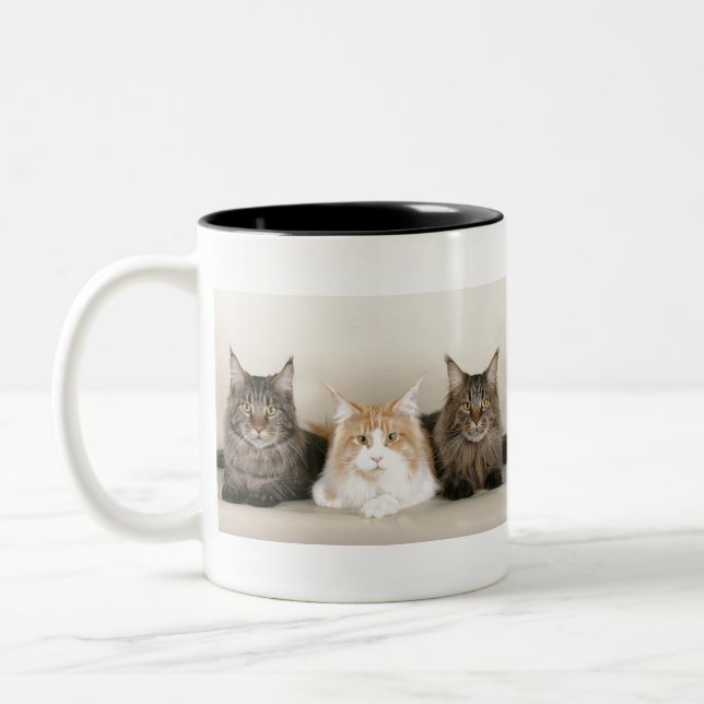 Maine Coon Cats Two-Tone Coffee Mug (Left)