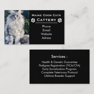 Maine Coon Cattery & Professional Breeder Black Business Card