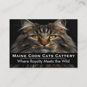 Maine Coon Cattery Professional Photo Business Card