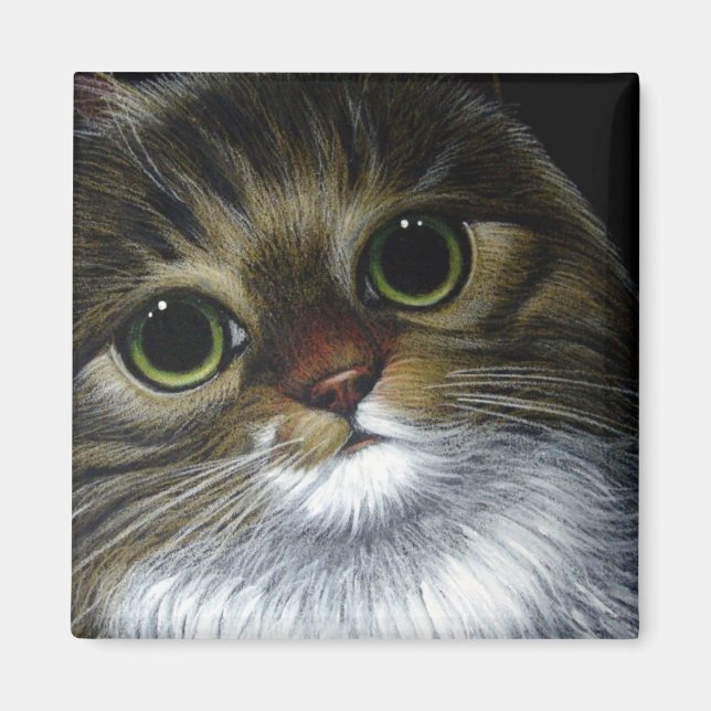 MAINE COON CHAT Magnet (Devant)