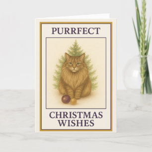 Maine Coon Christmas Card – “Boston” Purrfect Cat