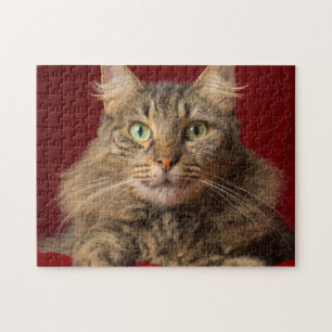 Maine Coon for Christmas with collector Jigsaw Puzzle